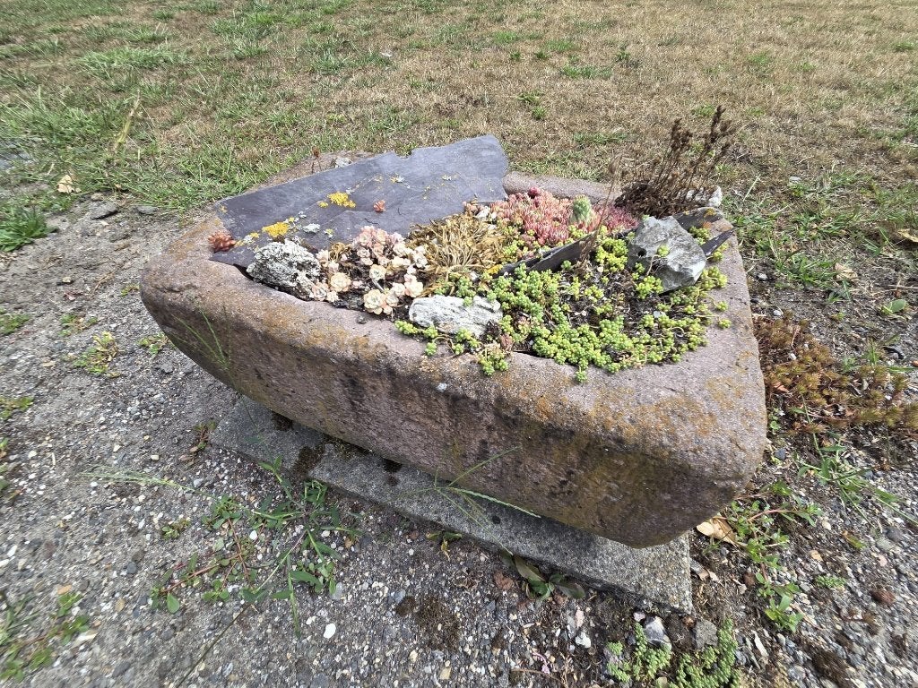 Stenen trog met mini-rotstuin, Tuin en Terras, Bloembakken en Plantenbakken, Gebruikt, Steen, Tuin, Minder dan 30 cm, Rond, Ophalen