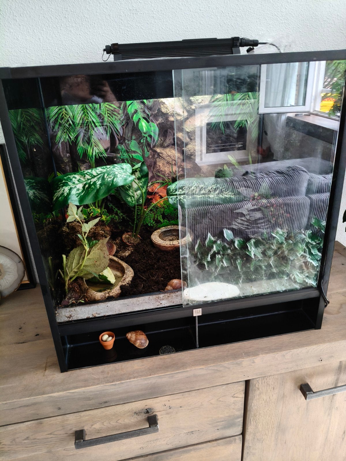 terrarium compleet, Dieren en Toebehoren, Ophalen of Verzenden