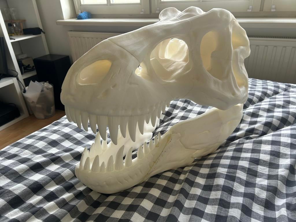 Dino hoofd, Ophalen of Verzenden, Zo goed als nieuw, Steen, Aardewerk of Keramiek, Dier