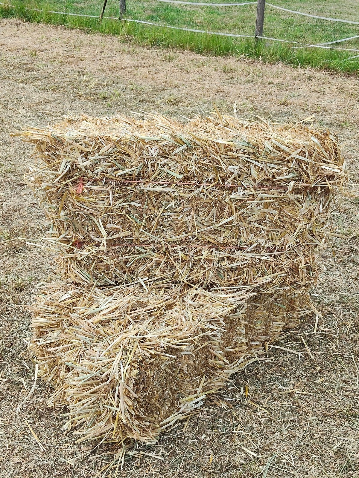 5 kleine pakjes stro, Dieren en Toebehoren
