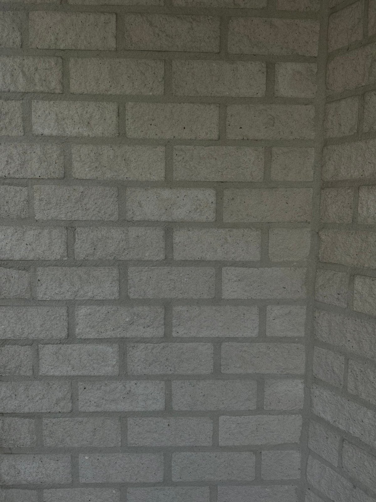 GEZOCHT, Emslander classic metselstenen 21x8x10 cm, Ophalen of Verzenden, Bakstenen