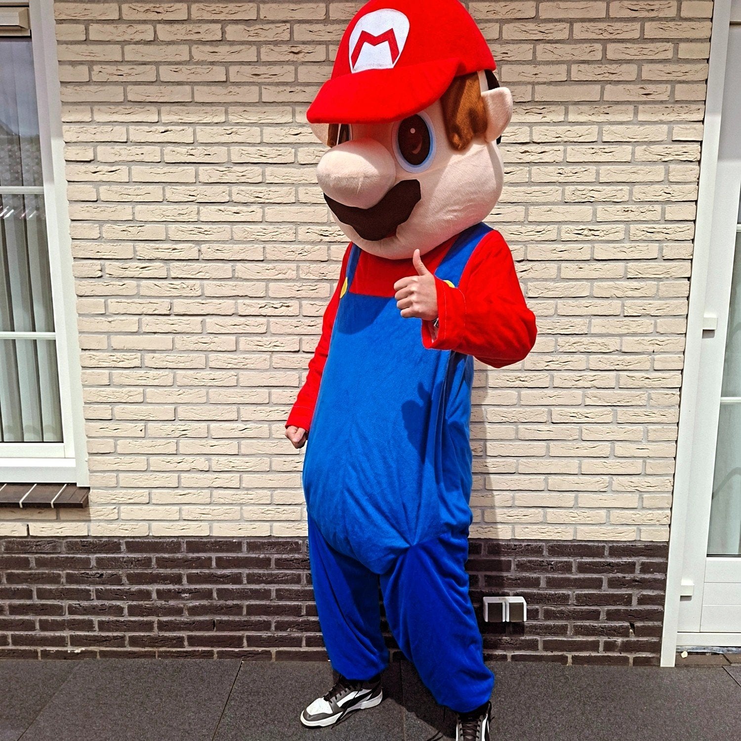 Mascotte pakken verhuur., Eén persoon