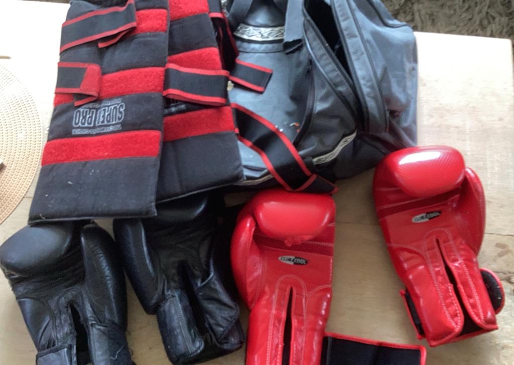 Bokshandschoenen - en tas en bescherming, Ophalen, Gebruikt, Bokshandschoenen