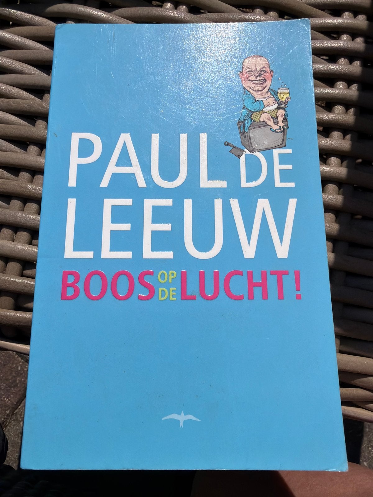 HKO.   Paul de Leeuw - Boos op de lucht!, Ophalen of Verzenden, Zo goed als nieuw, Nederland, Paul de Leeuw