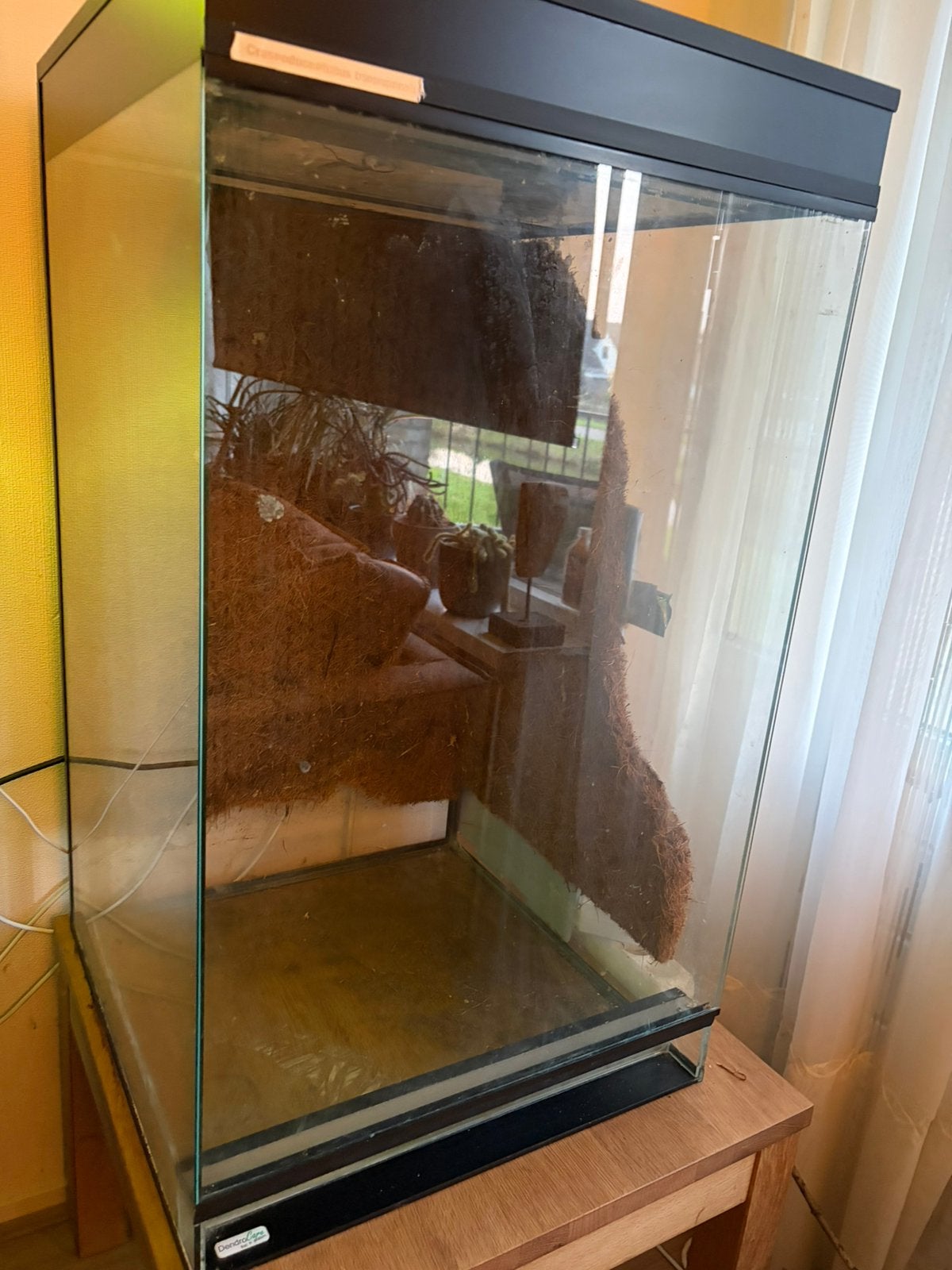 Terrarium/paludarium 50-50-80, Ophalen, Gebruikt, Terrarium of Paludarium