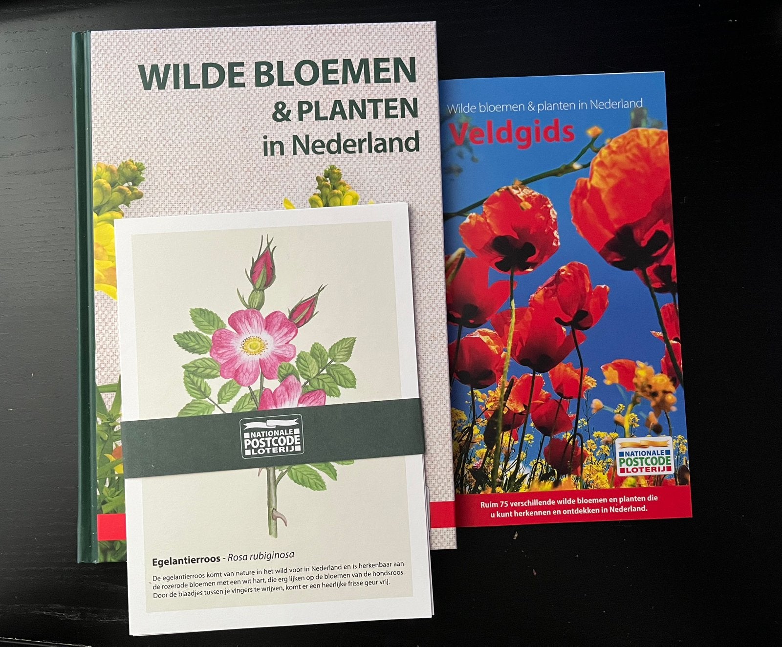 Wilde bloemen & planten in nederland boek, Boeken, Natuur, Ophalen of Verzenden, Zo goed als nieuw, Bloemen, Planten en Bomen