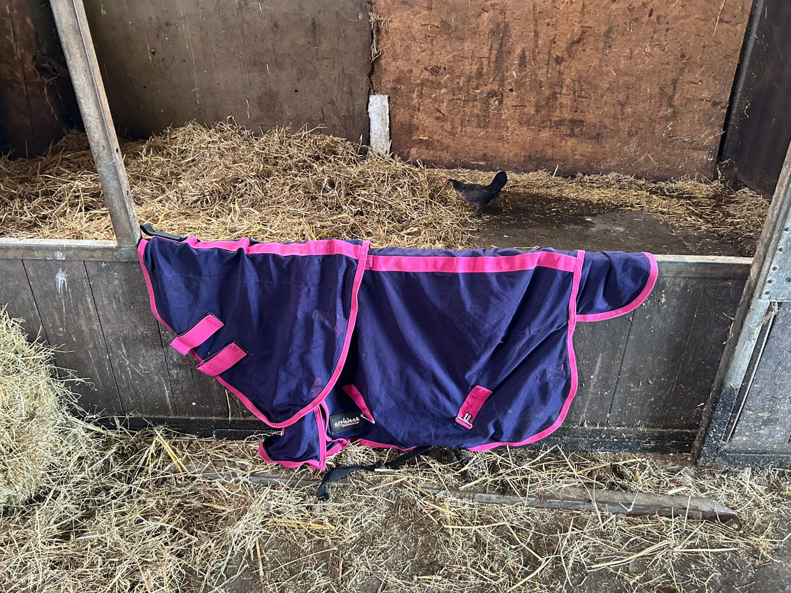 Vliegendelen 55/105 cm, Dieren en Toebehoren, Meerkleurig, Shetlander/Mini, 0 g, Vliegendeken