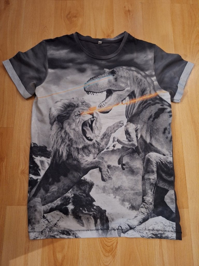 Dino t-shirt in maat 152, Ophalen of Verzenden, Zo goed als nieuw, Jongen, Shirt of Longsleeve