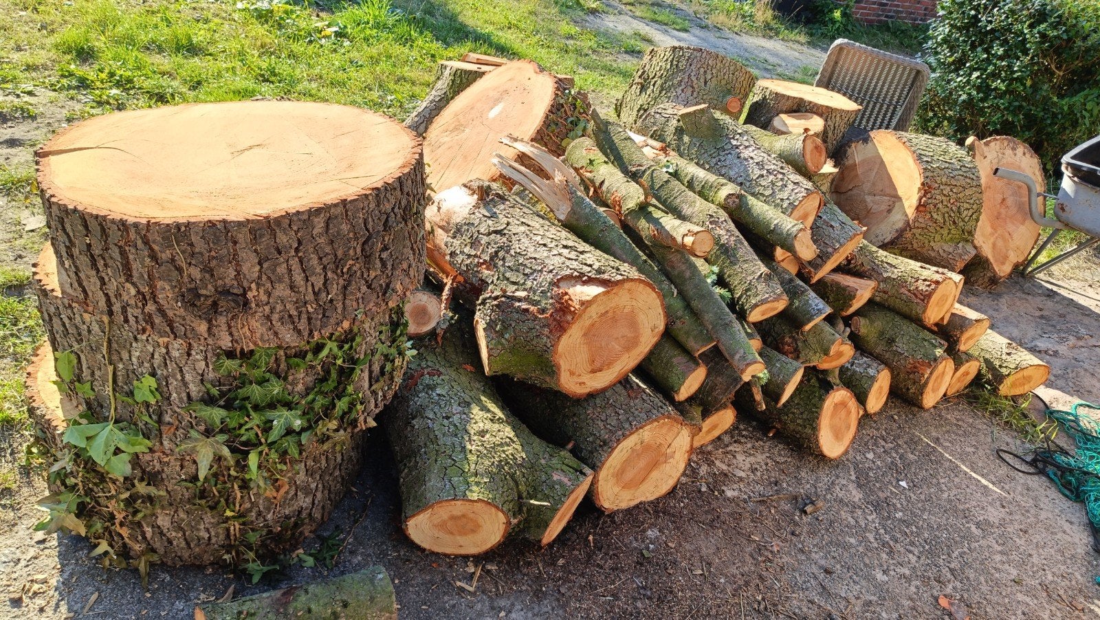 naaldhout, 3 tot 6 m³, Ophalen, Overige houtsoorten