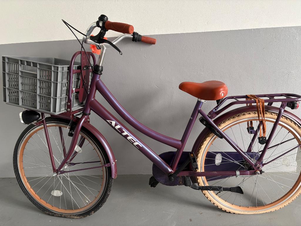 Fiest, Fietsen en Brommers, Fietsen | Meisjes, Ophalen, Gebruikt, 26 inch of meer