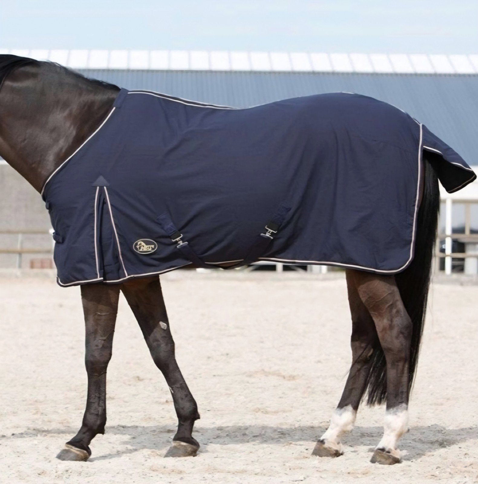 Harry's Horse zomerdeken 185, Dieren en Toebehoren, Katoen, Ophalen of Verzenden, Zo goed als nieuw, Kruissingels