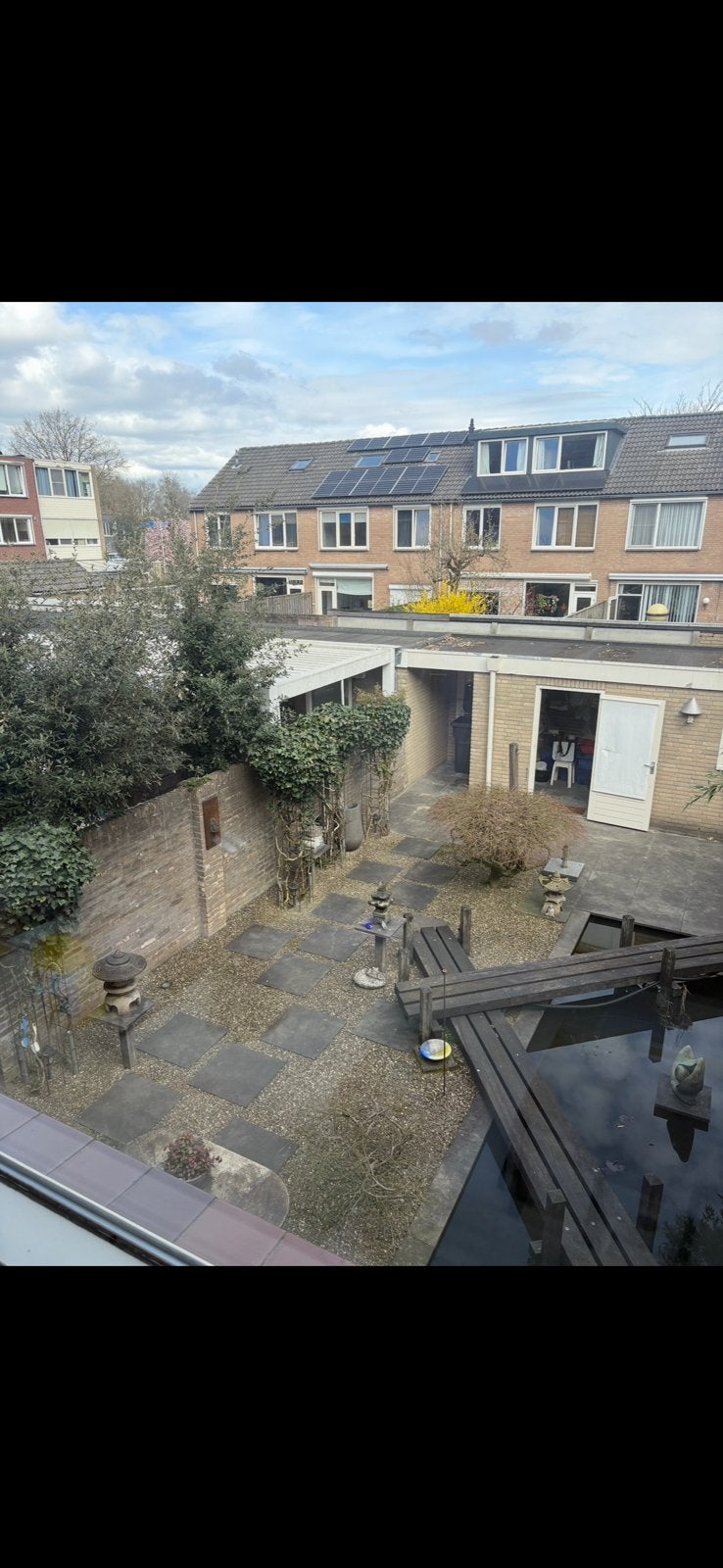 Goudvissen gratis afhalen en vangen, Goudvis(sen)