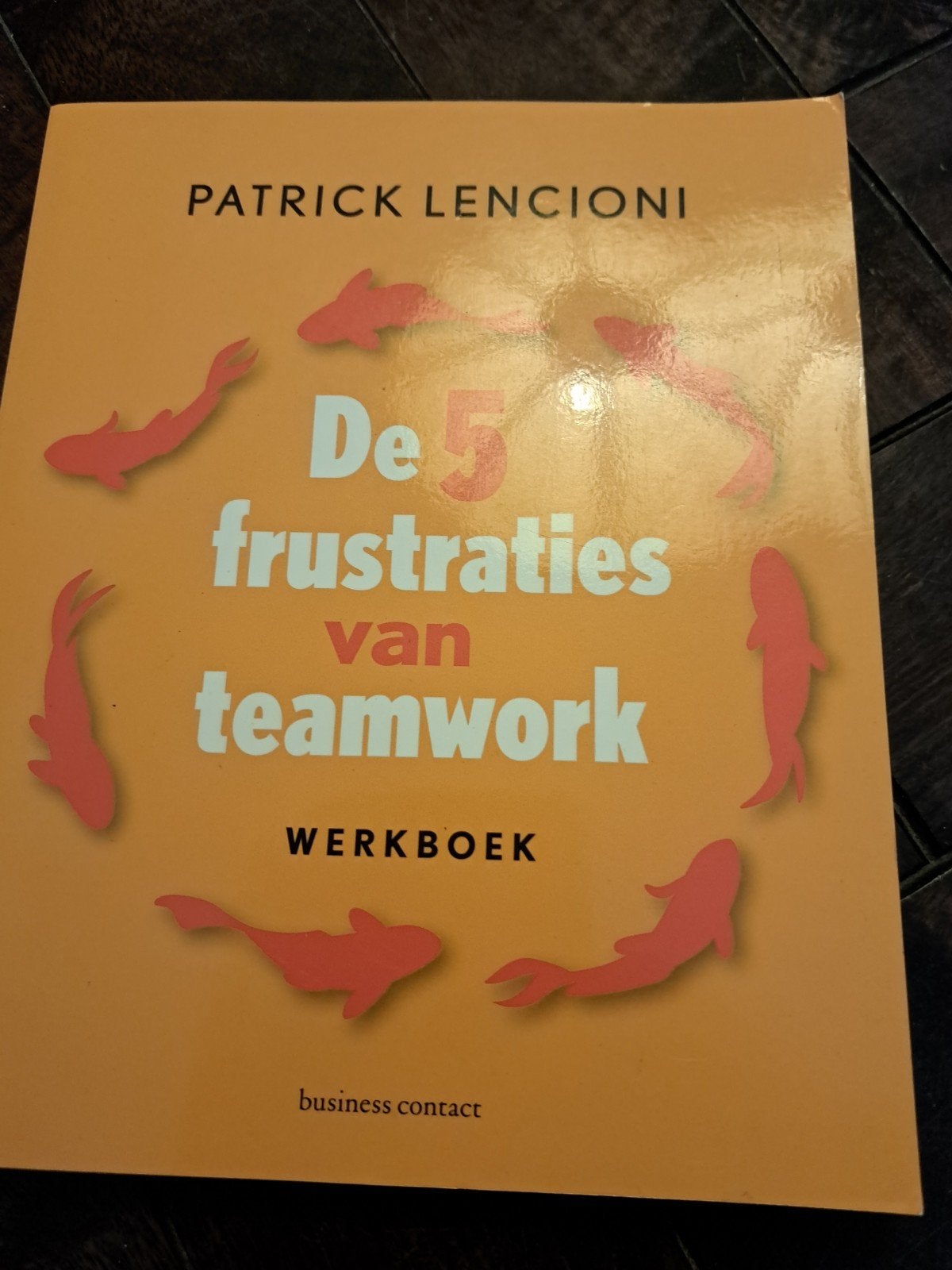 Patrick Lencioni - De 5 frustraties van teamwork - werkboek, Patrick Lencioni, Sociale wetenschap, Ophalen of Verzenden, Zo goed als nieuw