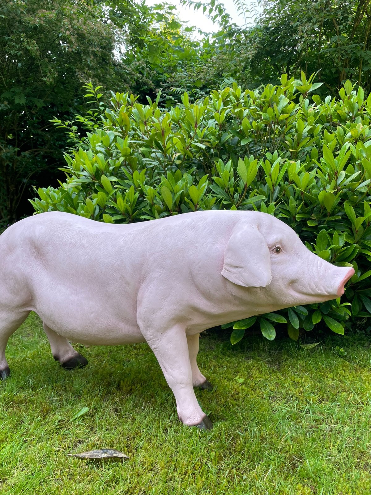 Varken beeld tuin boerderij boer stal big, Tuin en Terras, Ophalen, Nieuw, Kunststof, Dierenbeeld