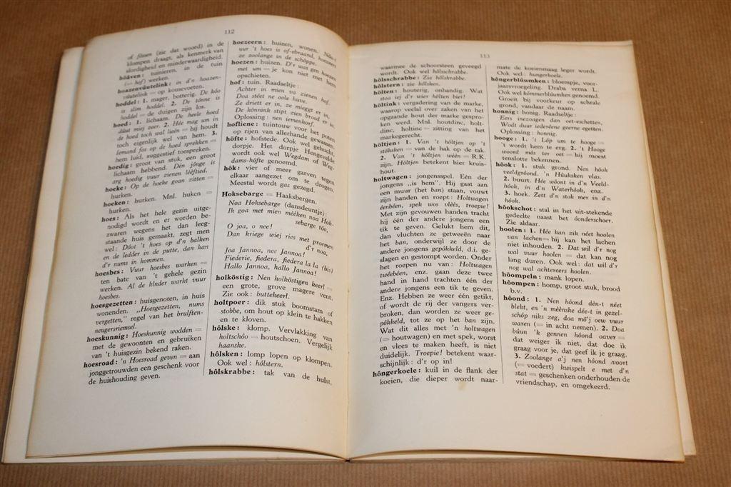 Twents-Achterhoeks Woordenboek — Wanink [1948], Ophalen of Verzenden, Gelezen