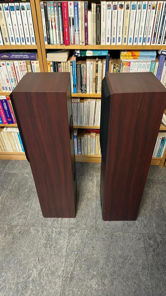 Mordaunt Short VS-300 Rozenhout Vloerstaande Speakers, Ophalen, Zo goed als nieuw, Front, Rear of Stereo speakers, Overige merken