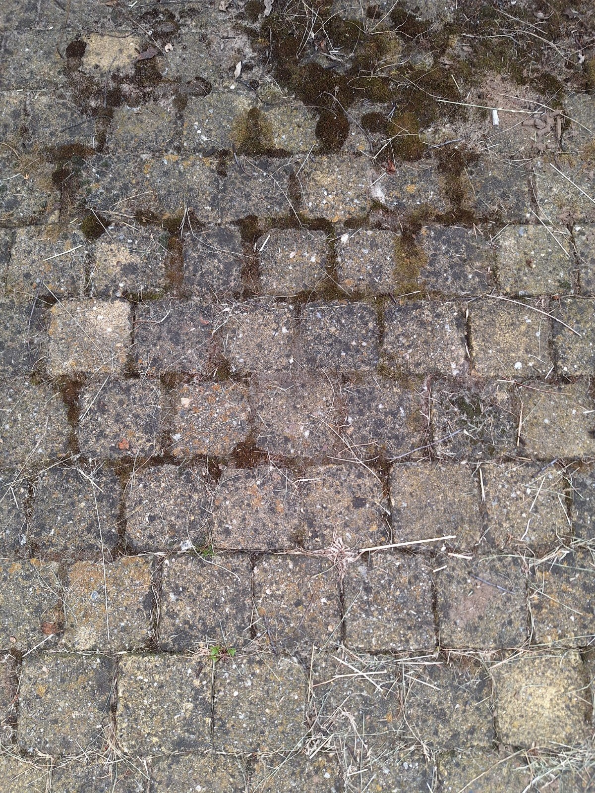 Cobblestones, Ophalen of Verzenden, Beton, Klinkers