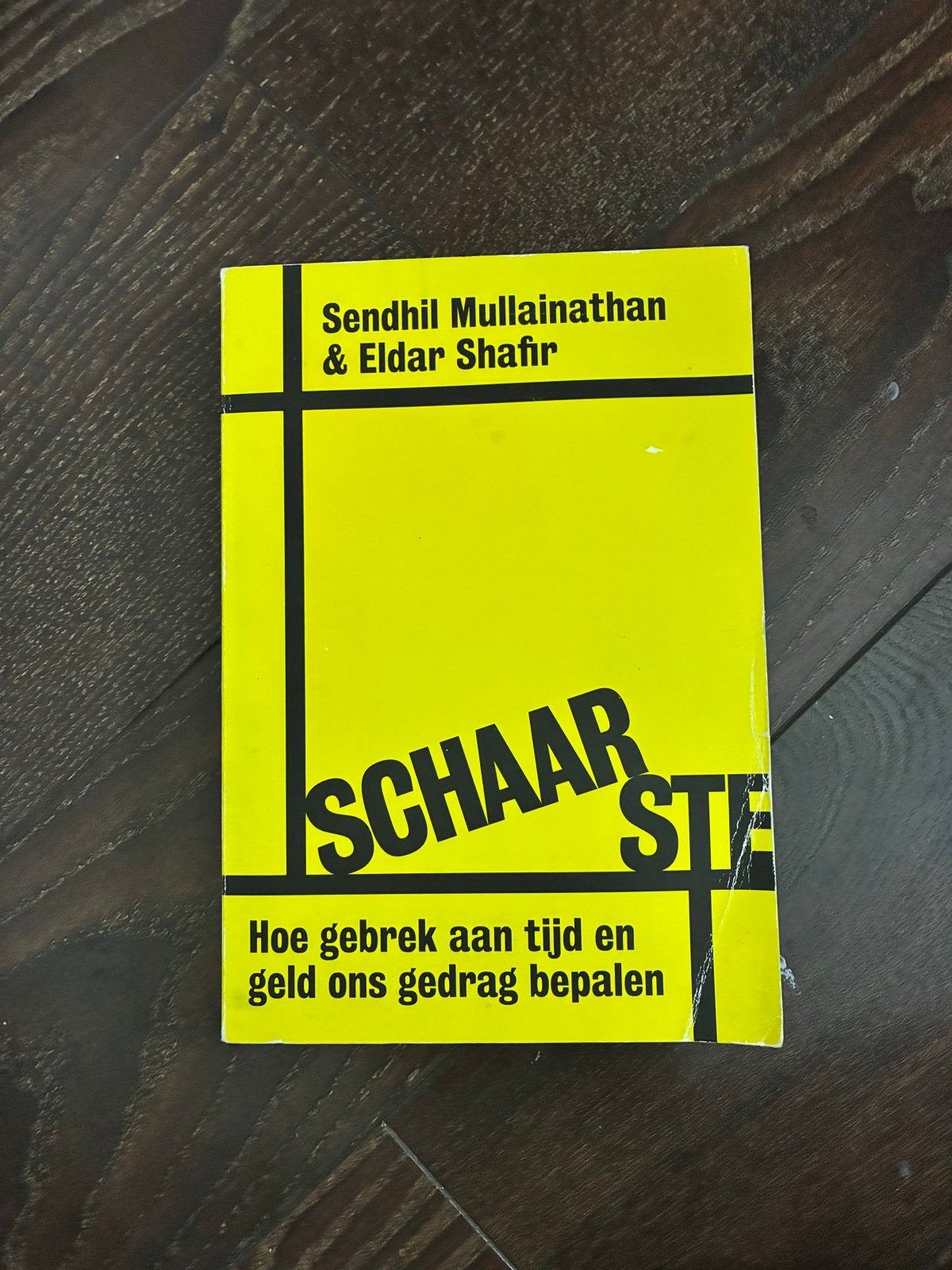 Schaarste: Hoe gebrek aan tijd en geld ons gedrag bepalen, Ophalen of Verzenden, Gelezen, Klinische psychologie