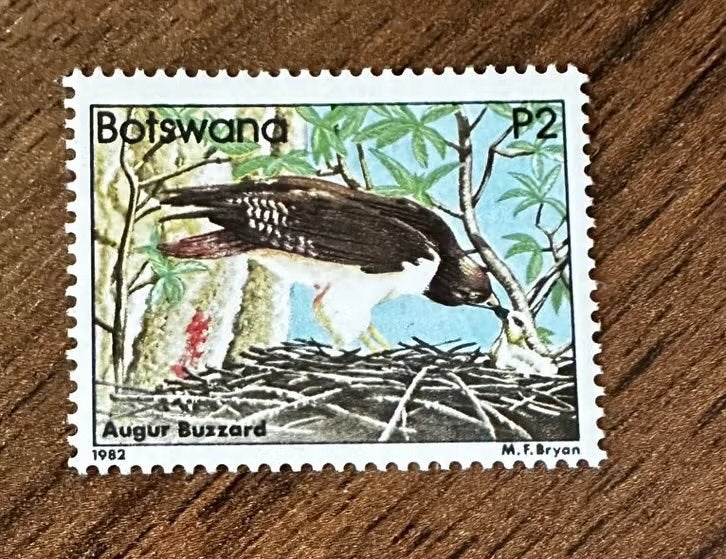 Botswana 1982 postfris vogels roofvogels - Augur Buizer, Ophalen of Verzenden, Overige landen, Postfris
