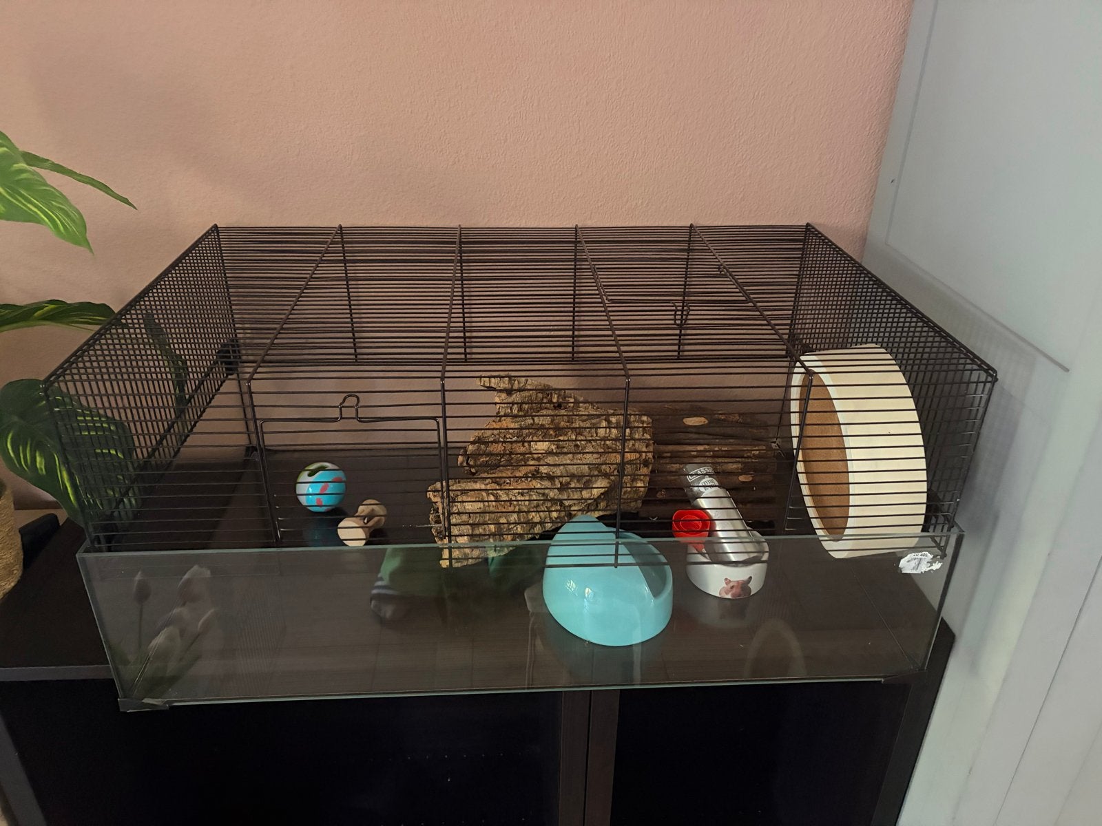 Hamsterkooi met toebehoren, Dieren en Toebehoren, Kooi, Zo goed als nieuw, Hamster, 75 tot 110 cm