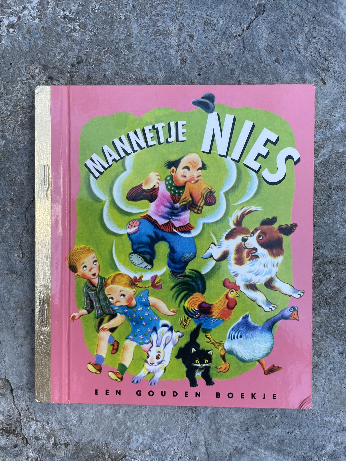 Mannetje Nies - Een Gouden Boekje, Ophalen of Verzenden, Gelezen, Fictie algemeen