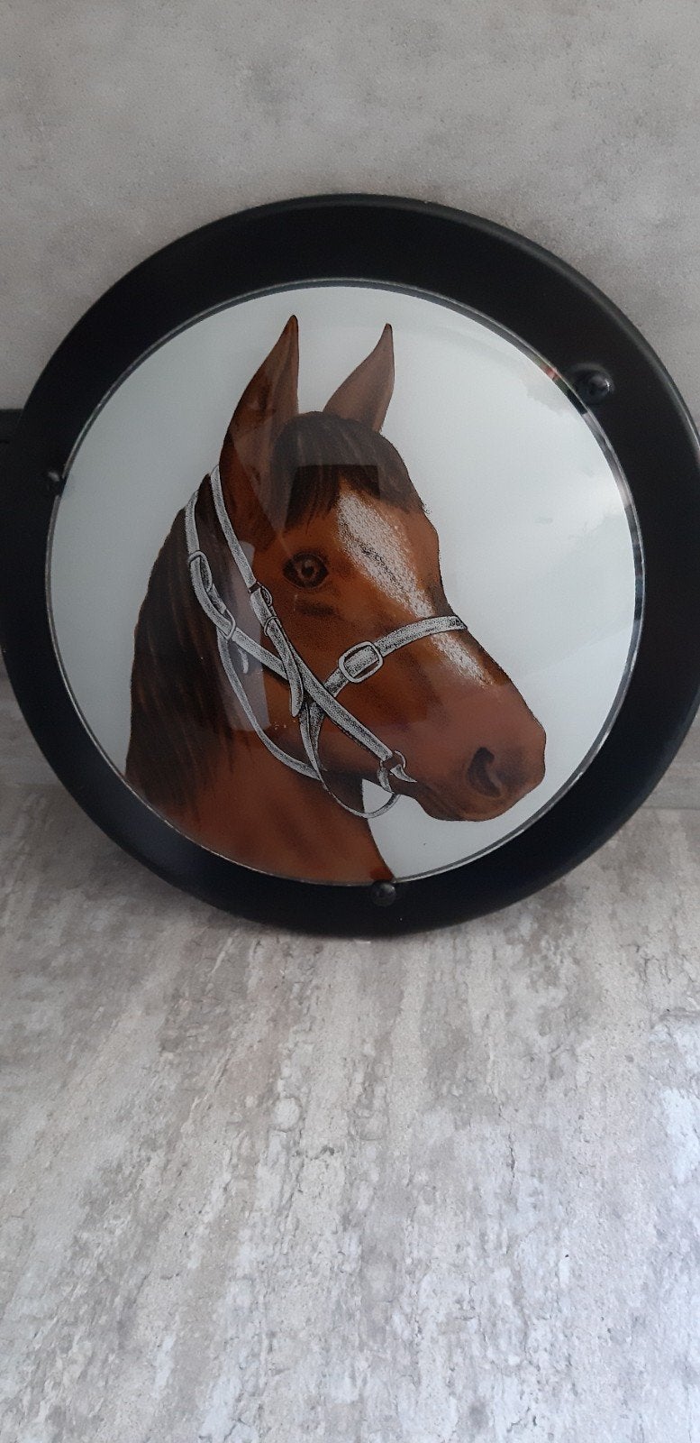 Paarden plafonniere, Ophalen of Verzenden, Zo goed als nieuw