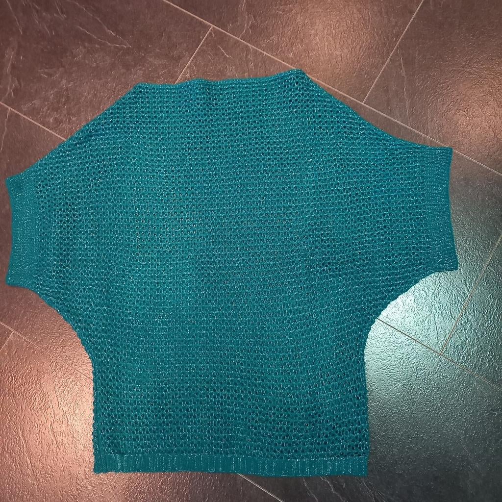 Leuk spencer shirt met zilverdraad maat S/M koopje nu, Ophalen of Verzenden, Zo goed als nieuw, Maat 36 (S), Zonder mouw
