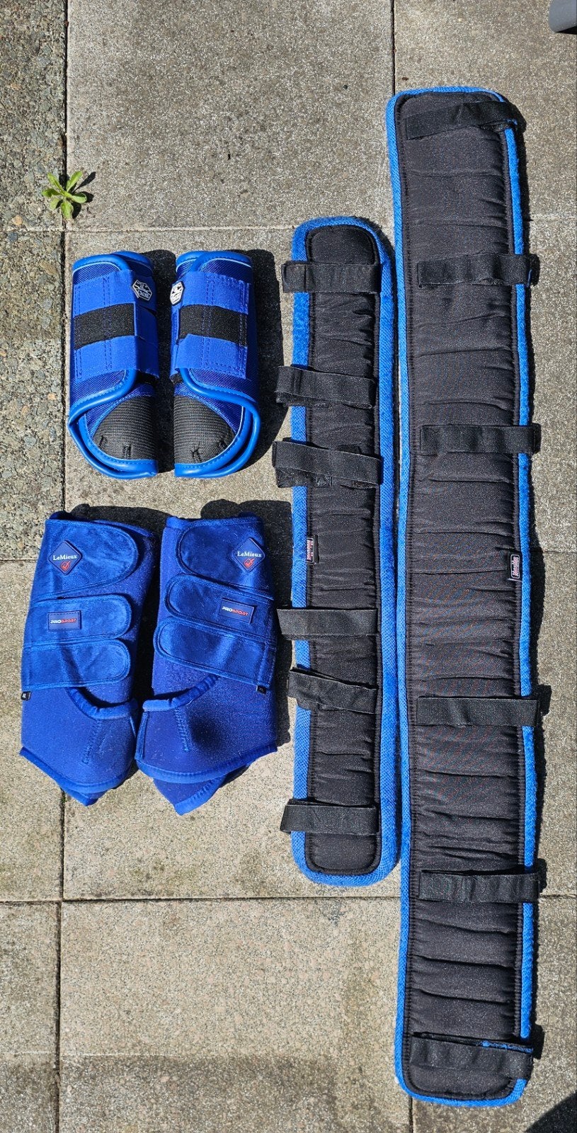 complete blauwe set beenbeschermers en onderleggers, Dieren en Toebehoren, Ophalen of Verzenden, Gebruikt