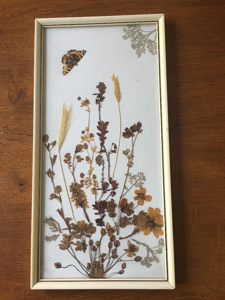 "Droogboeket met Vlinder" Ingelijst met Glas 'Jaren 60', Ophalen of Verzenden, Zo goed als nieuw
