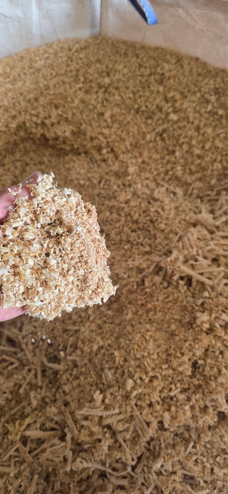 Hout spaanders houtmot, Dieren en Toebehoren, Ophalen, Vee