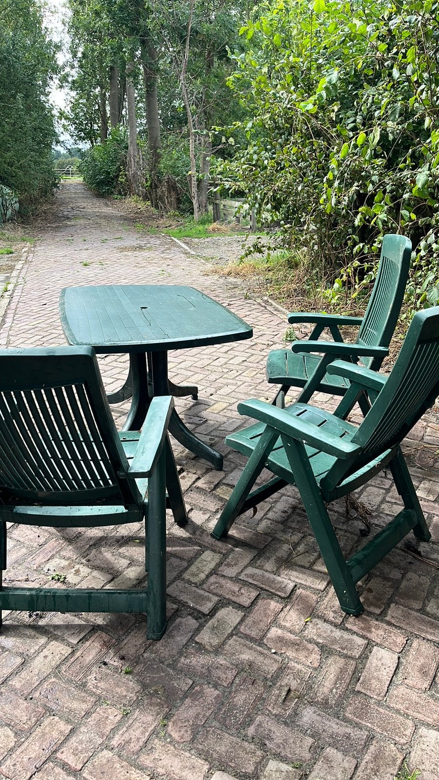 Leuke tuinset - groen Hartman, Ophalen, Zo goed als nieuw, Kunststof