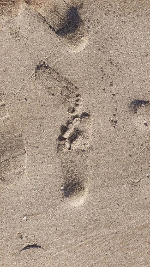 Happy feet, Verzenden, Nieuw, Overige typen