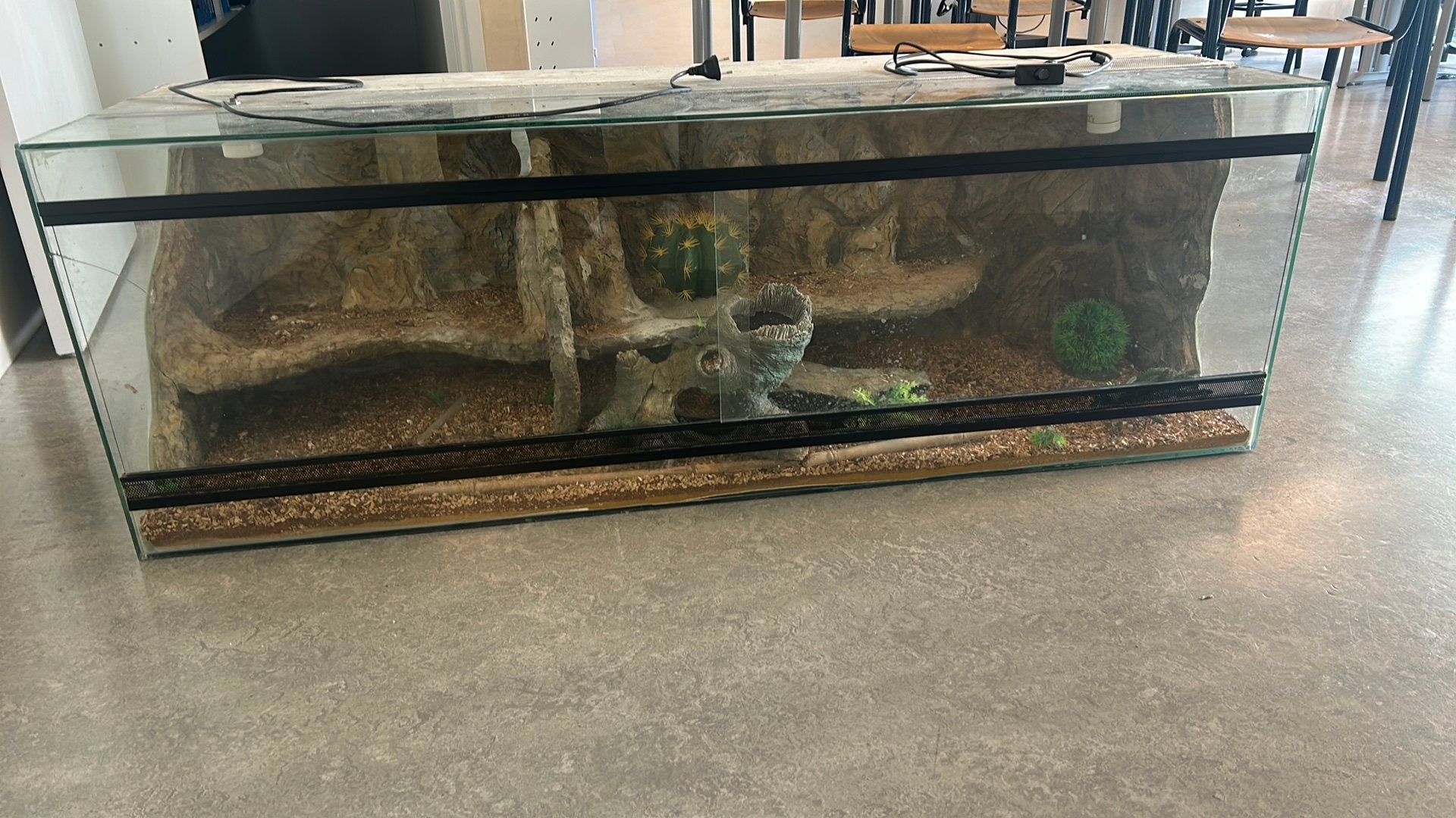 Terranium, Dieren en Toebehoren, Reptielen en Amfibieën | Toebehoren, Ophalen, Gebruikt, Terrarium of Paludarium