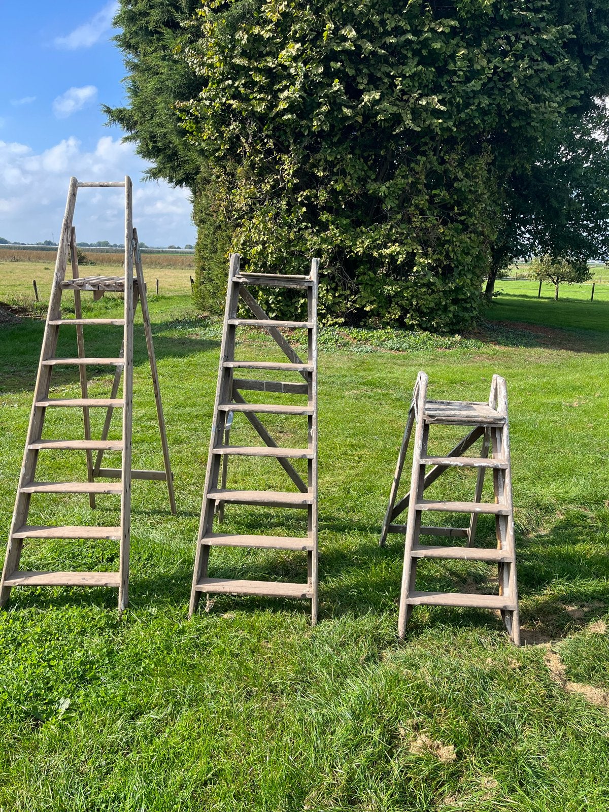 3x Houten Trappen - Decoratief & Functioneel, Ophalen, Gebruikt, Trap, Minder dan 2 meter