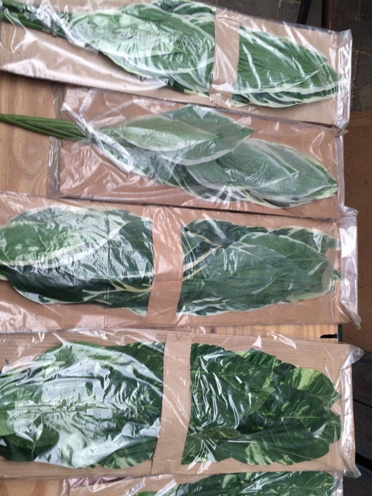 Grote Partij Sier / Kunst bloemen Decoratie en Sier planten, Ophalen, Nieuw
