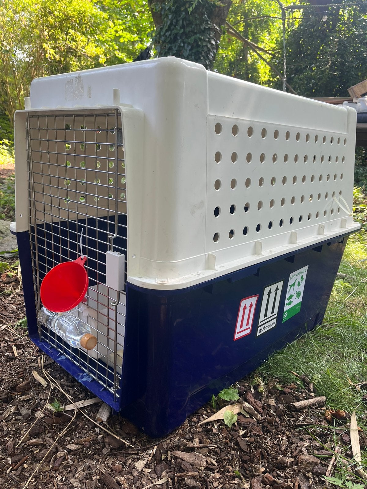 Vliegtuig transportkrat petcrate hond IATA, Ophalen, Gebruikt, 60 tot 90 cm, Reiskooi of Transportbox