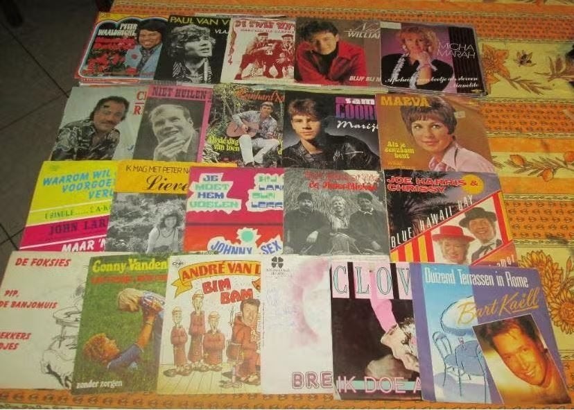 57 Prima nederlandstalige vinyl Singles, Ophalen of Verzenden, Gebruikt, Nederlandstalig