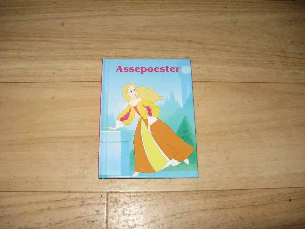 Assepoester, Boeken, Ophalen of Verzenden, Zo goed als nieuw, Fictie algemeen