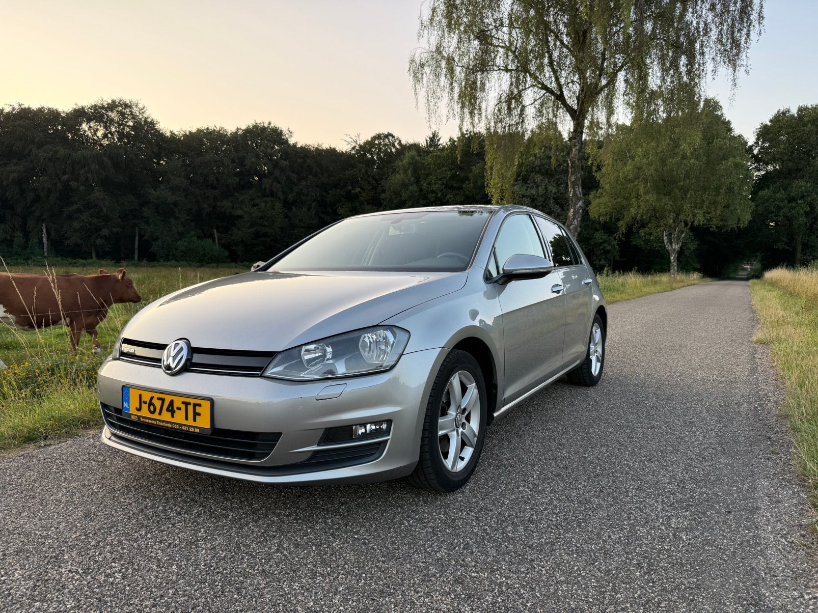 Volkswagen Golf 1.2 TSI 63KW 5D 2013 Grijs, Auto's, Volkswagen, Voorwielaandrijving, 4 cilinders, 610 kg, 49 €/maand