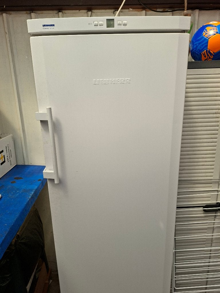 Diepvrieskast, Gebruikt, 160 cm of meer, Energieklasse A of zuiniger, Ophalen
