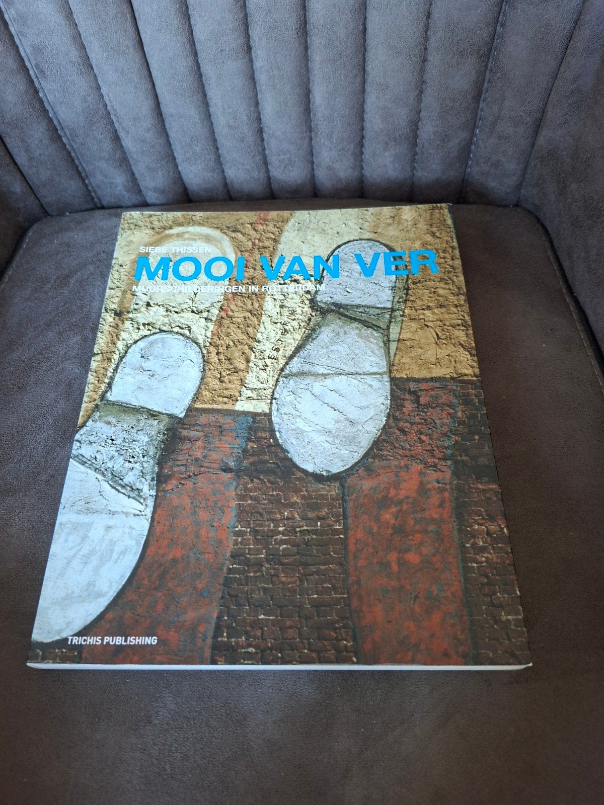 Mooi van Ver: Muurschilderingen in Rotterdam, Boeken, Ophalen of Verzenden, Zo goed als nieuw, Overige onderwerpen, Siebe Thissen