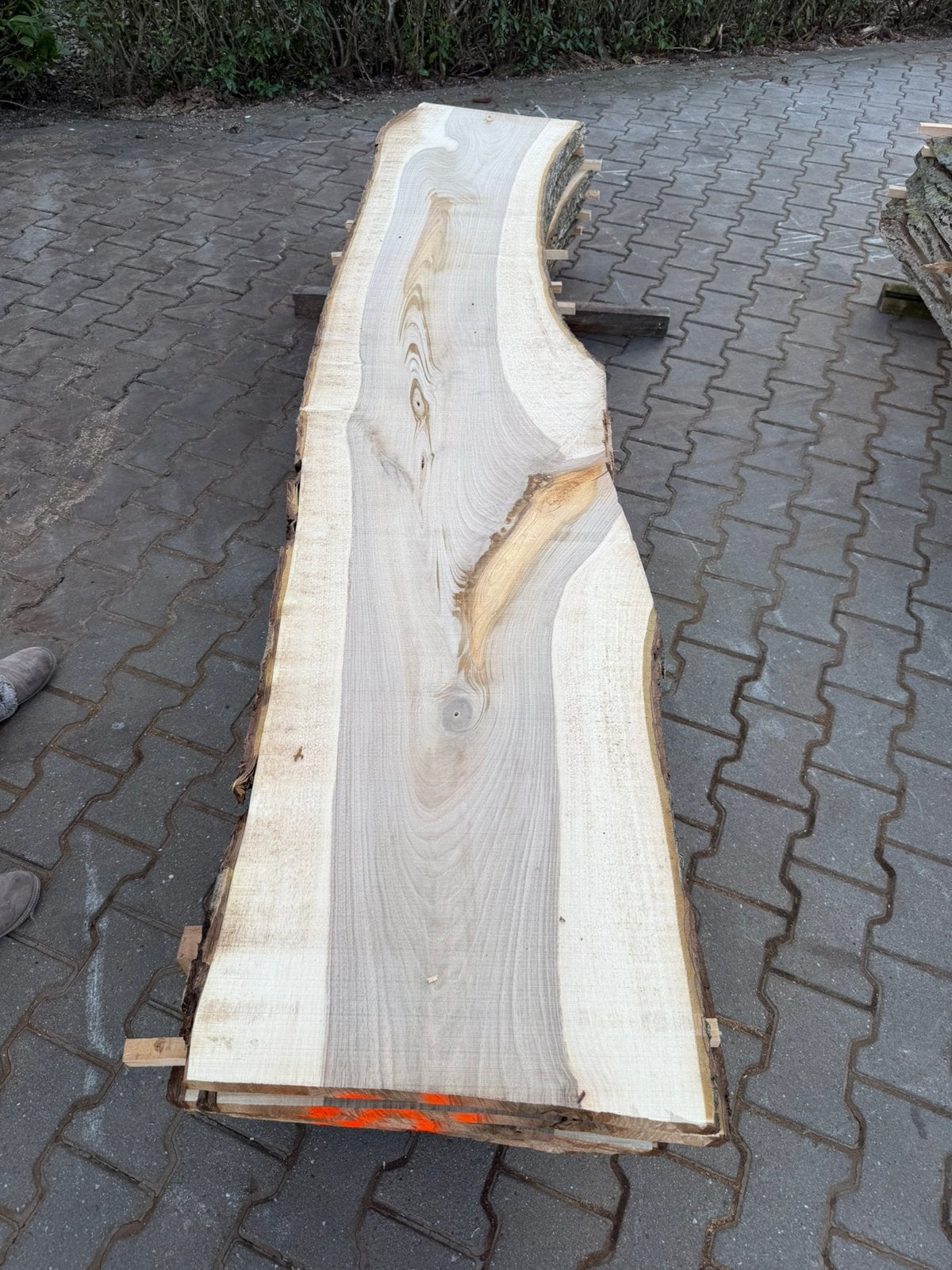 11 x walnoten schaaldelen voor maar 350 euro !!, Ophalen, Zo goed als nieuw, 250 cm of meer, Planken
