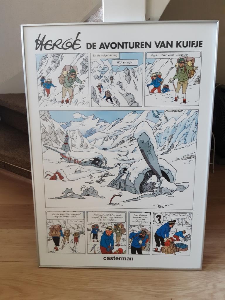 Kuifje in Tibet poster limited edition., Antiek en Kunst, Antiek | Schoolplaten, Ophalen of Verzenden, Natuur en Biologie
