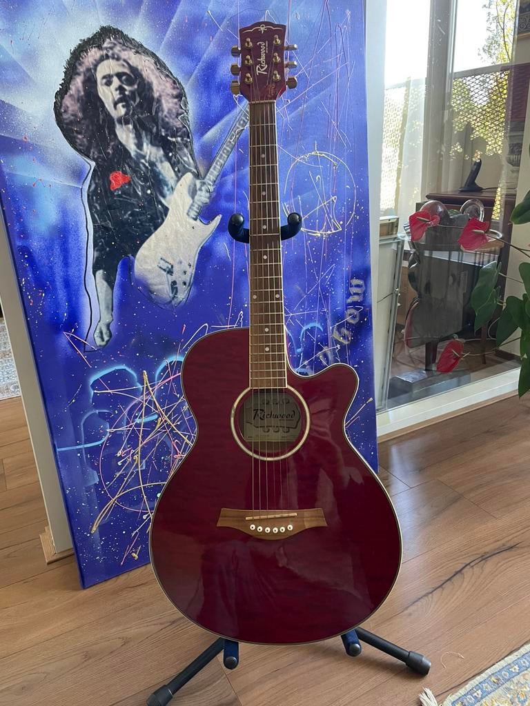 Richwood guitar, Ophalen, Zo goed als nieuw, Western- of Steelstringgitaar