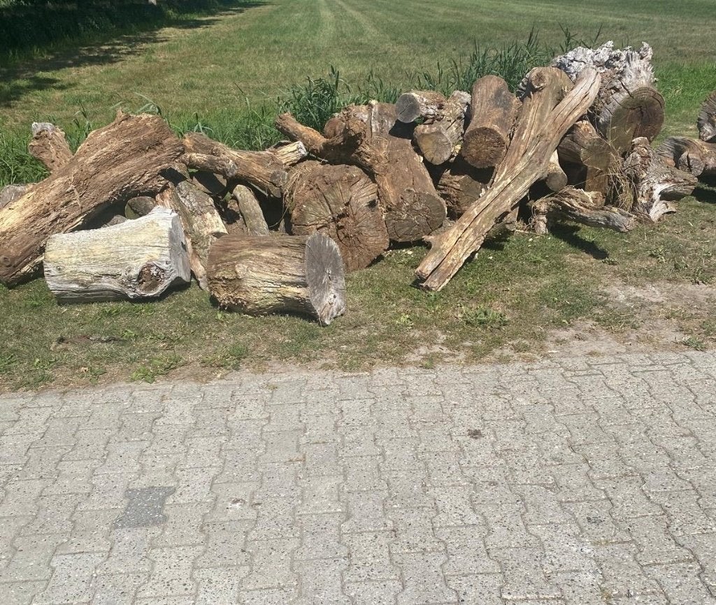 Grote partij Eiken Boomstammen , Haardhout, 3 tot 6 m³, Ophalen, Eikenhout, Stammen