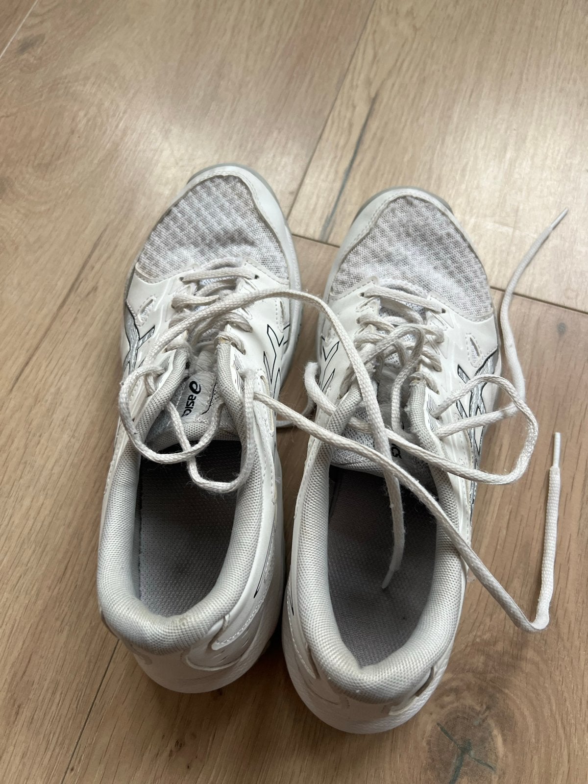 Asics volleybalschoenen - Maat 38, Sport en Fitness, Volleybal, Ophalen, Gebruikt, Schoenen