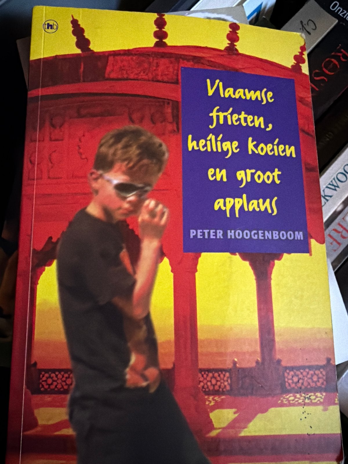 Z6. Vlaamse frieten, heilige koeien groot applaus Peter Hoo, Boeken, Verzenden, Gelezen, Nederland