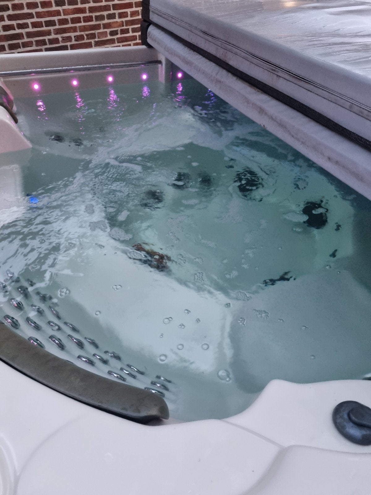 Sunbelt Spas Jacuzzi, Ophalen of Verzenden, Zo goed als nieuw, Afdekzeil, Vast