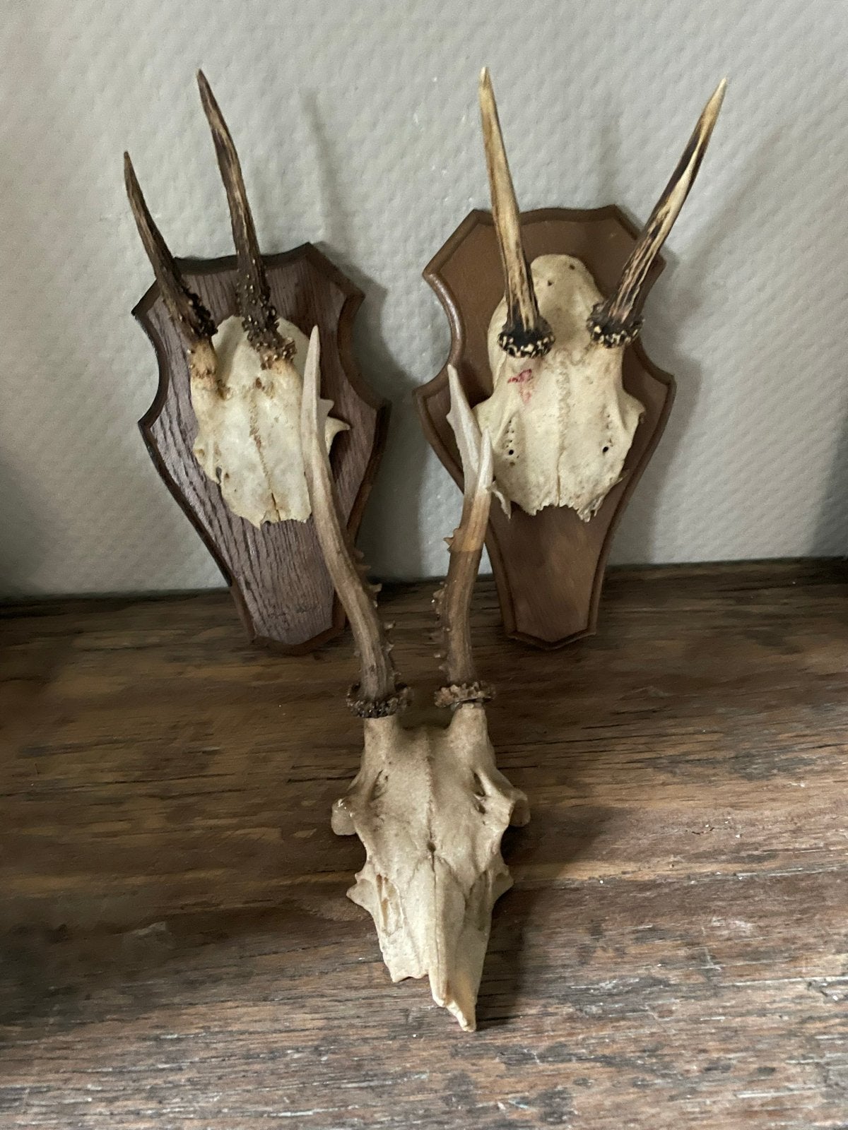 Reeen geweien  - Vintage decoratie, Ophalen of Verzenden