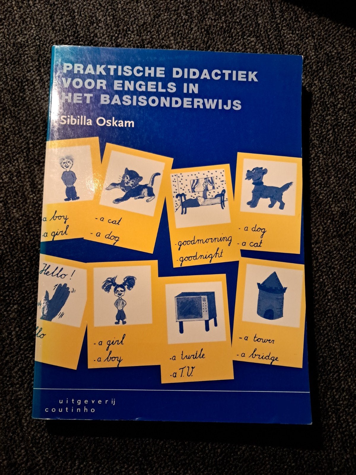 Praktische Didactiek voor Engels in het Basisonderwijs, Ophalen of Verzenden, Zo goed als nieuw, HBO, Sibilla Oskam